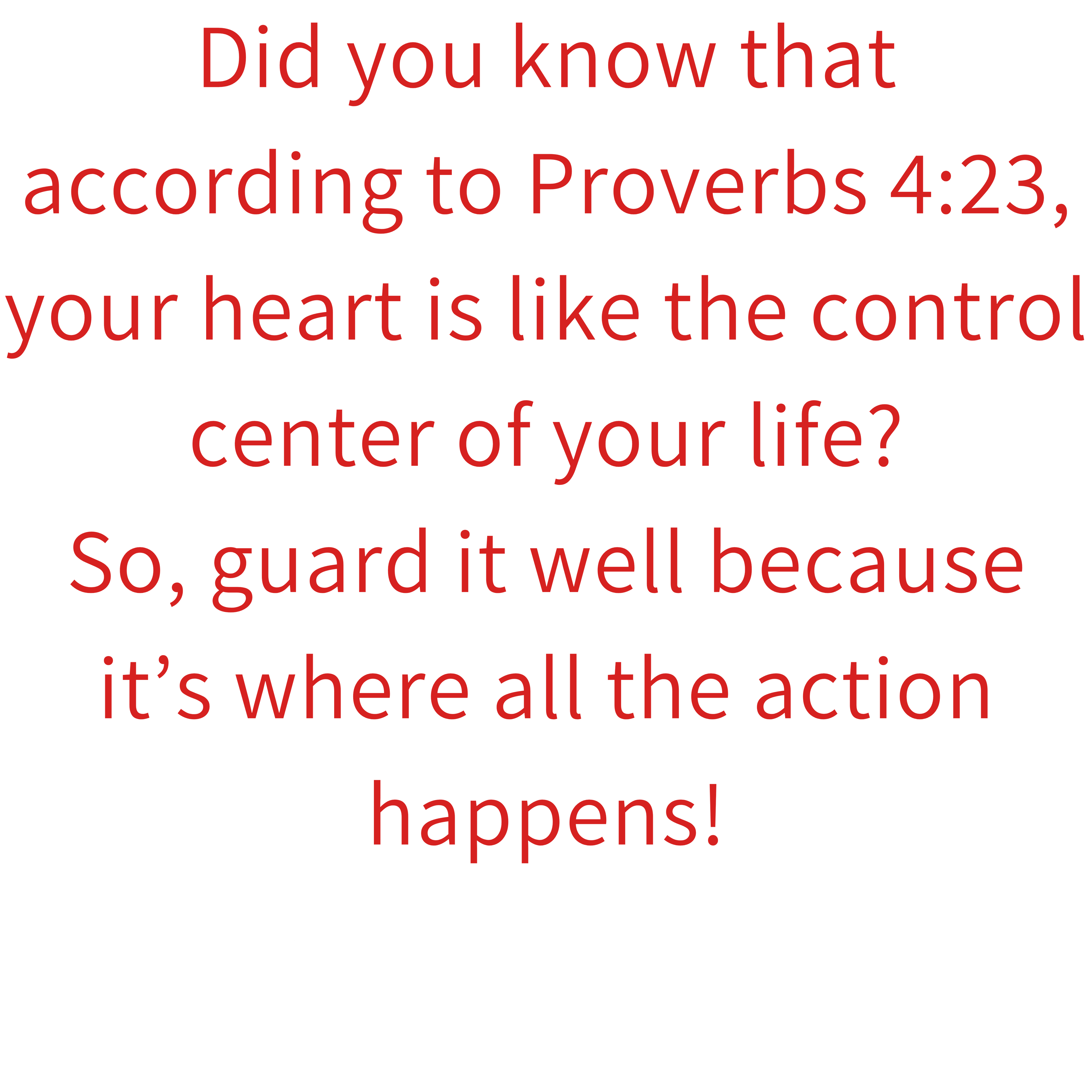 Proverbs 4:23 Heavy Cotton Tee